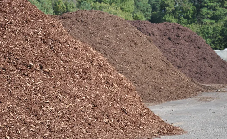 Types of Mulch; Which Mulch is the Best for Your Needs?