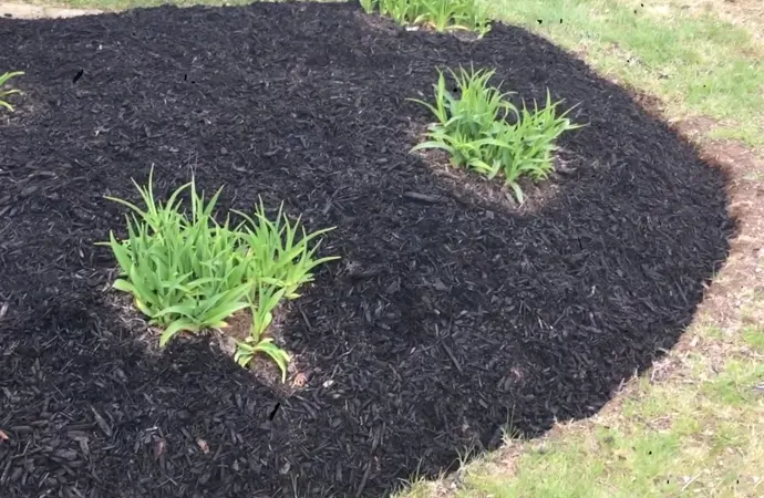 Different Types of Mulch Colors