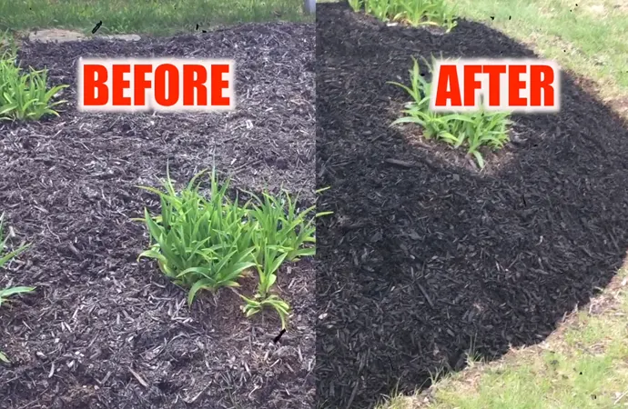 How to Choose the 'Best Mulch Color' for Old? (Buying Guide)