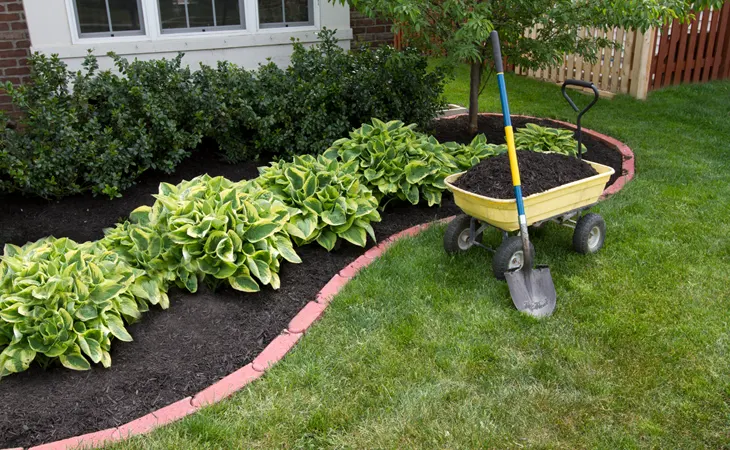 What is the Best mulch?