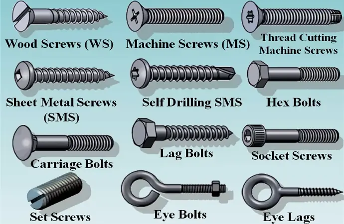 Types of Screws 