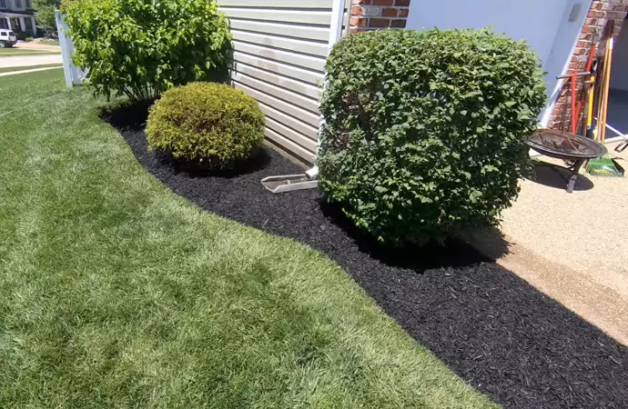 Aesthetic Appeal of Black Mulches