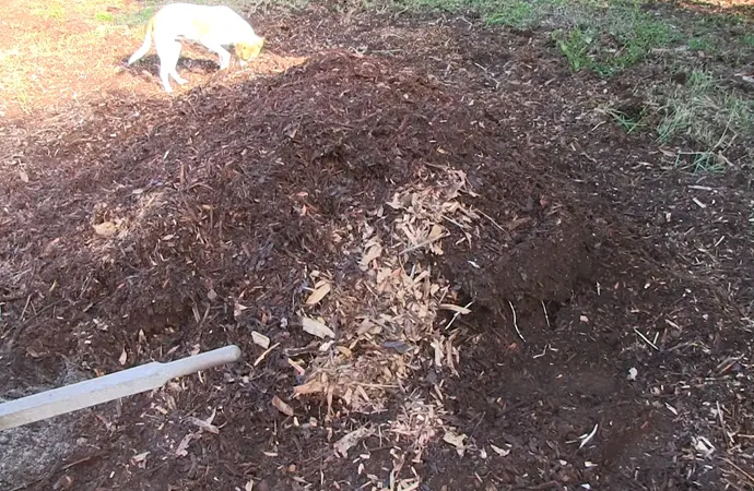 Is it necessary to remove old mulch?