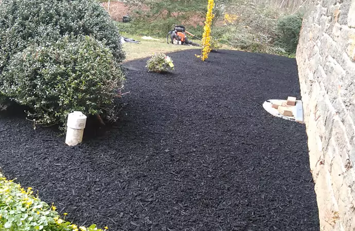What's Black Mulch and Why You Should Use It?