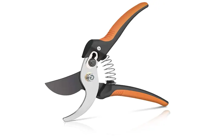 As its name suggests, pruning shears are tiny garden scissors.