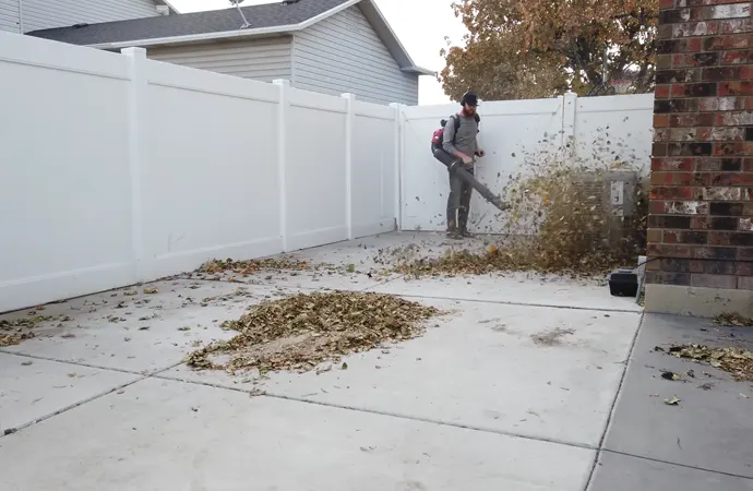 As the name suggests, a leaf blower pushes leaves out of the way.