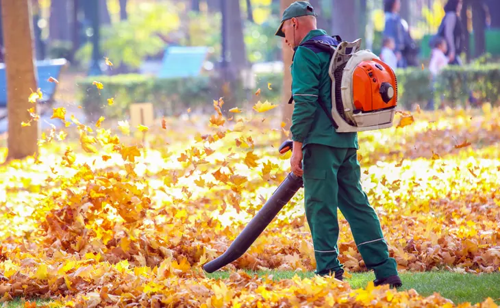 Top 10 Best Backpack Leaf Blowers (Buying Guide)