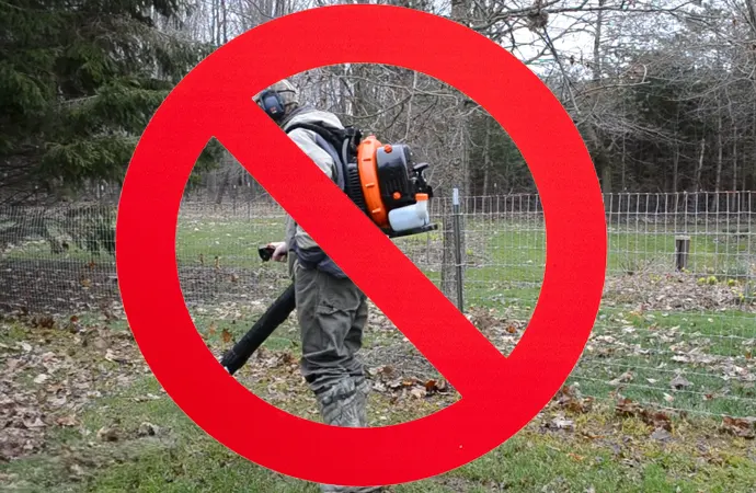 Why are cities banning leaf blowers?